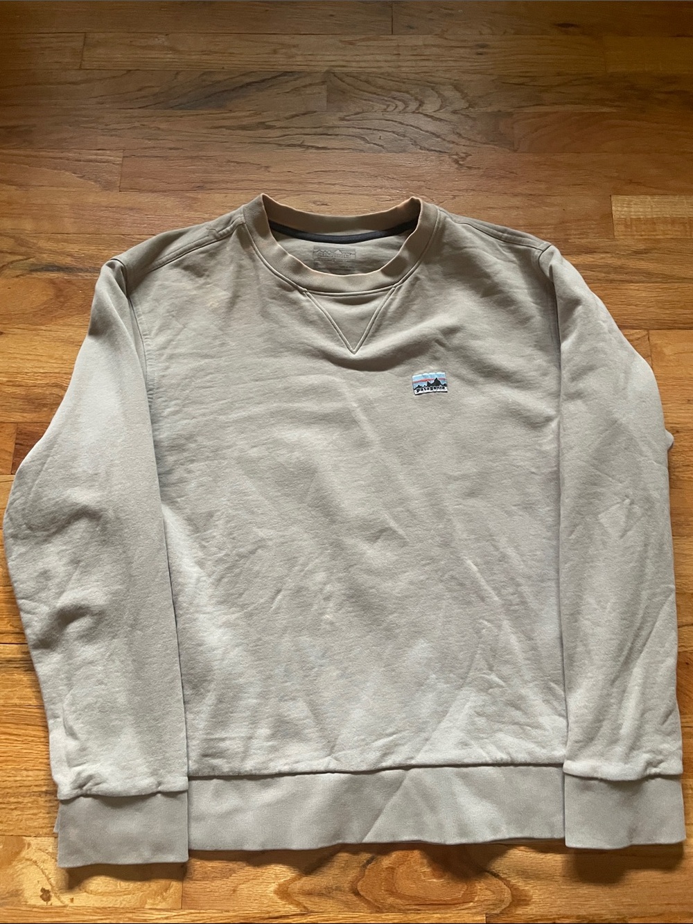 Patagonia Men's Crewneck Sweatshirt in Beige